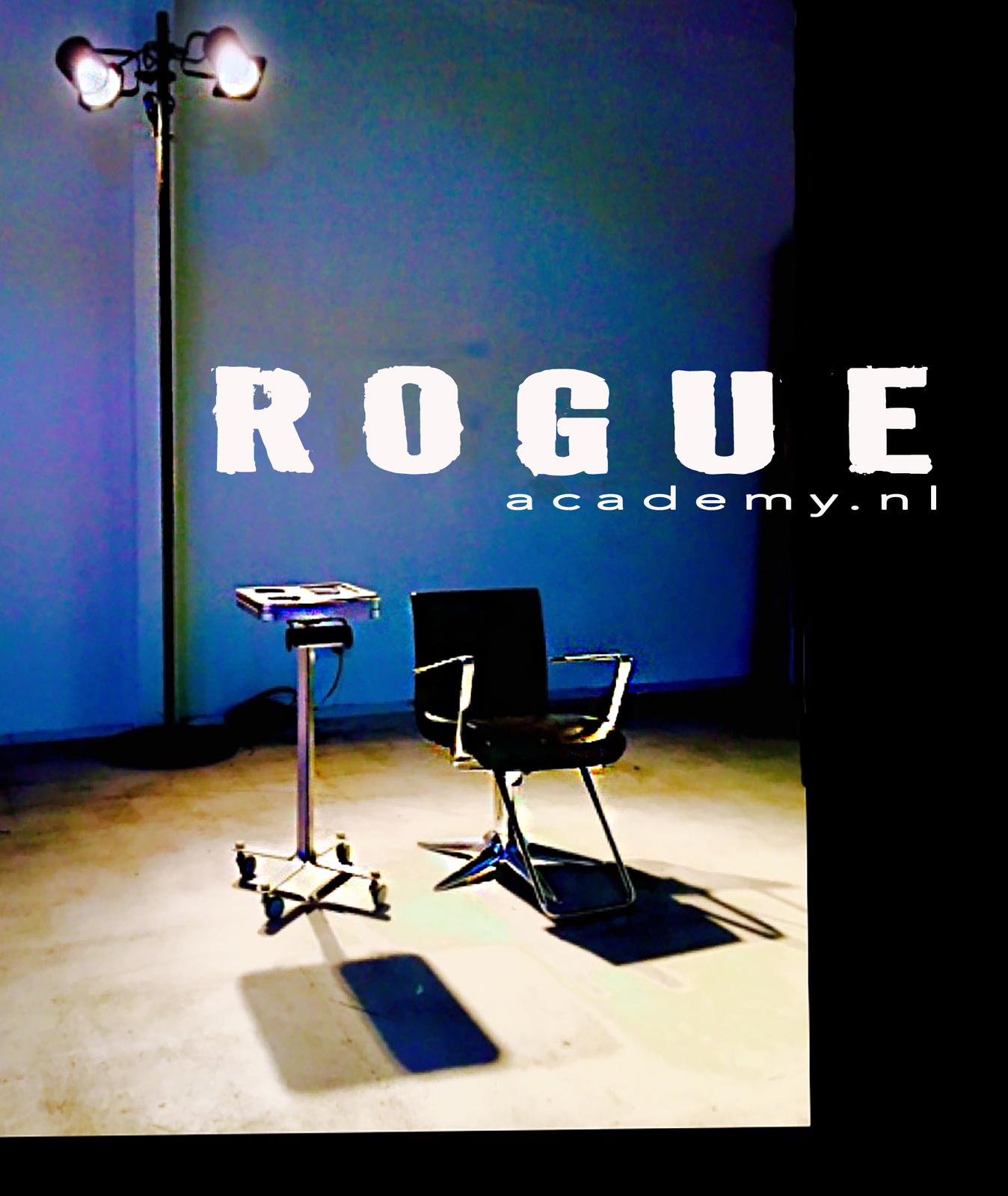 Logo Rogue Academy